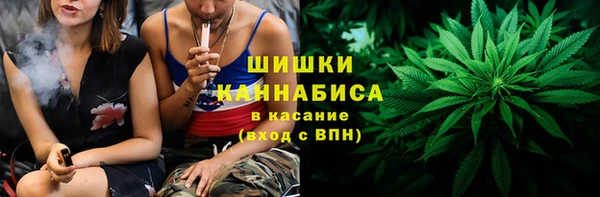 прущие грибы Армянск