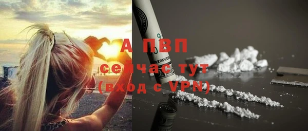 винт Арсеньев
