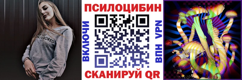 купить наркотики цена  Междуреченск  Псилоцибиновые грибы MAGIC MUSHROOMS 